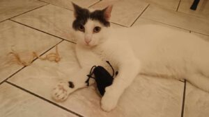BORYANA und BILLY_01.09.2024