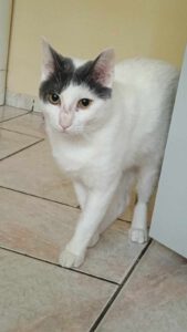 BORYANA und BILLY_01.09.2024