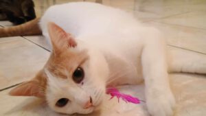 BORYANA und BILLY_01.09.2024