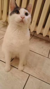 BORYANA und BILLY_01.09.2024