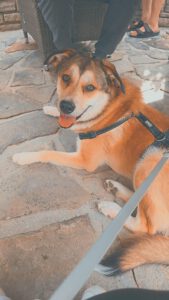 Oliver_Mai23_10