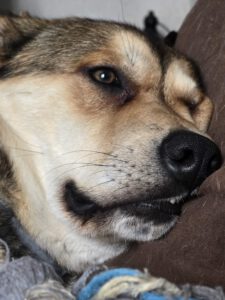 Oliver_Mai23_11