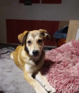 Oliver_Mai23_25