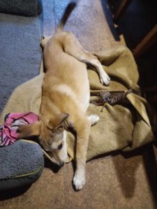 Oliver_Mai23_26