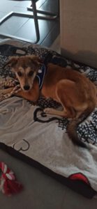 Oliver_Mai23_31