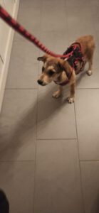 Oliver_Mai23_32
