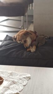 Oliver_Mai23_36