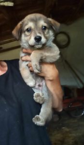 Oliver_Mai23_42