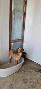 carlos_jan24_8