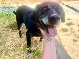 charley_Jan20_11