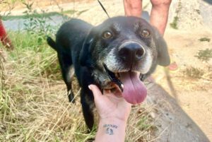 charley_Jan20_12