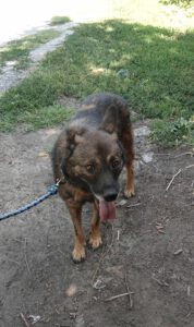 felisha_apr16_12
