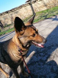 felisha_apr16_3