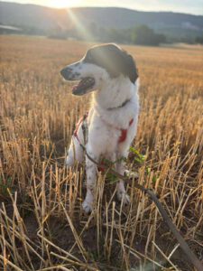 kelly_nov21_2