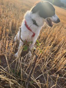 kelly_nov21_3