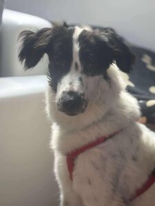 kelly_nov21_4