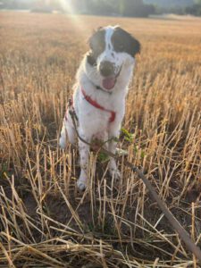 kelly_nov21_4