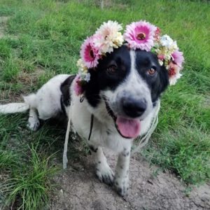 larah_jun19_2