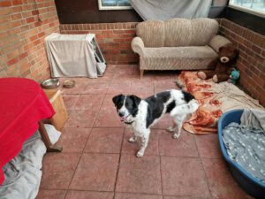 larah_jun19_26
