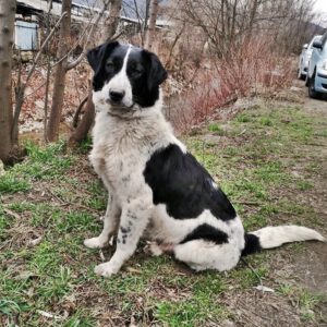 larah_jun19_3