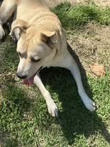 shantella_apr22_17