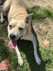 shantella_apr22_18