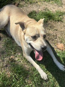 shantella_apr22_19