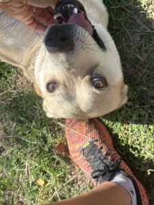 shantella_apr22_21