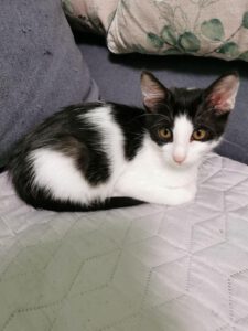 ELPIDA_25.04.2025
