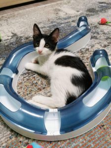 ELPIDA_25.04.2025