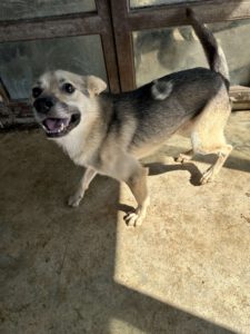 simon_okt21_11