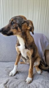tizia_feb25_3