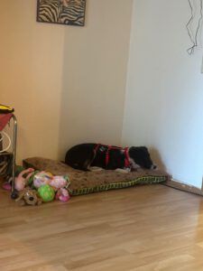 xienna_nov23_6