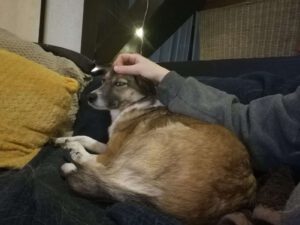 xowie_nov22_17