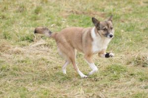 xowie_nov22_5