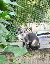 TIYANA_09.04.2024