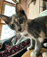 TIYANA_09.04.2024