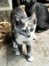 TIYANA_09.04.2024