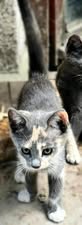 TIYANA_09.04.2024
