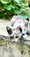 TIYANA_09.04.2024