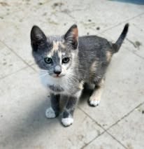TIYANA_09.04.2024