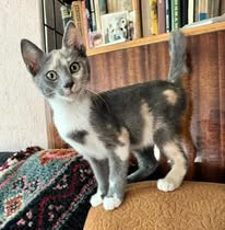TIYANA_09.04.2024