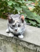 TIYANA_09.04.2024