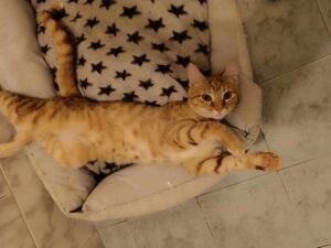 JESSO_01.08.2024