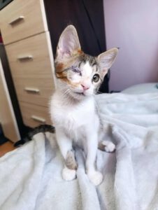 DESIREE_05.05.2025