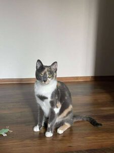 TIYANA_09.04.2024