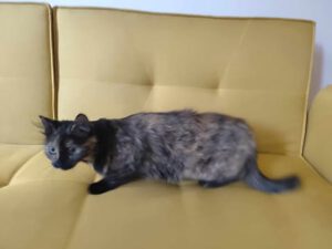 JANA_01.08.2024