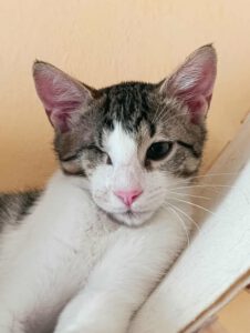 DESIREE_05.05.2025