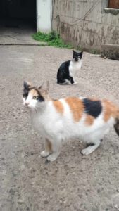 Flora & Mira_03.2023