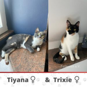 TIYANA&TRIXIE_09.04.2024